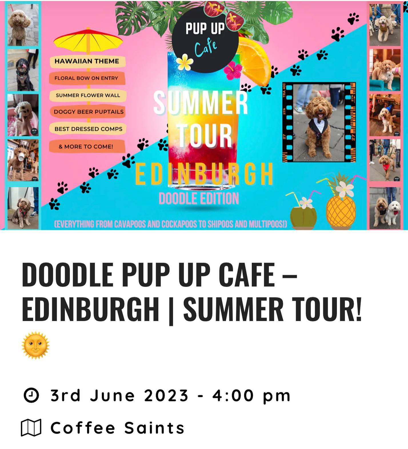 We are so excited to announce that we will be at the Pup Up Cafe in Edinburgh on Saturday 3rd June �
