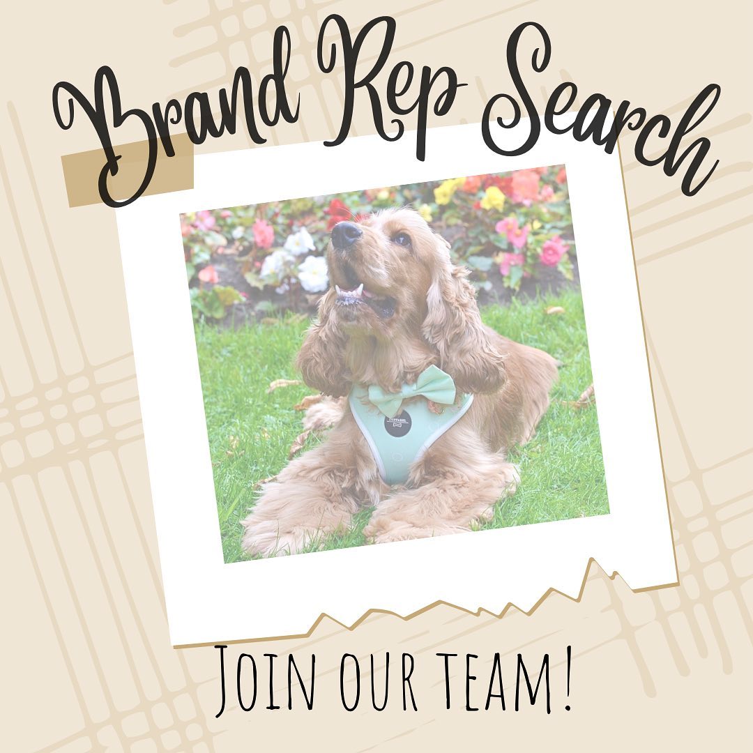 We are looking for more brand reps to join our other amazing reps for Pupparel! We’re looking for pe