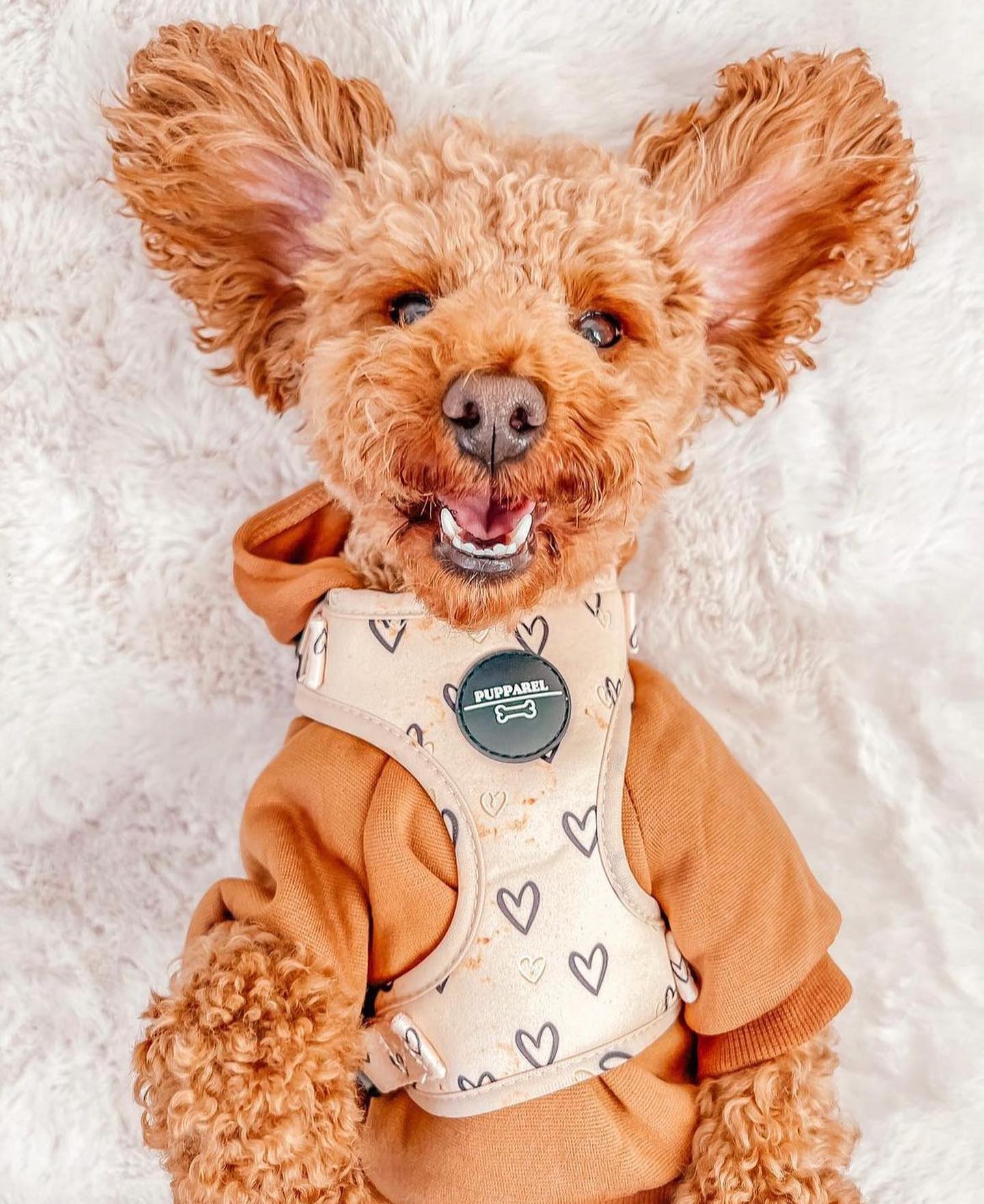 As it’s the day of love we’re giving you all a treat - a huge 40% off everything in our ‘Uncondition
