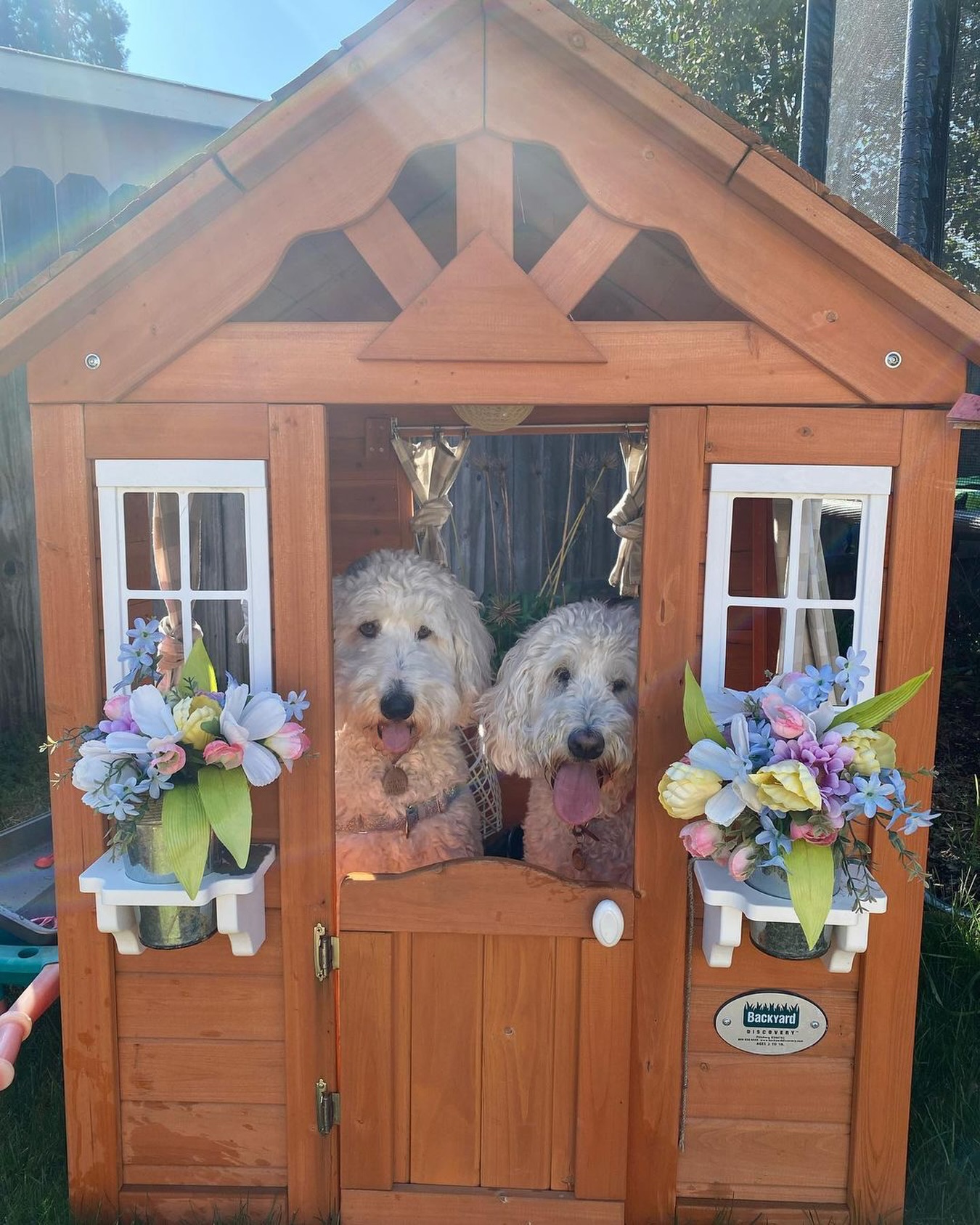 Happy ‘Change A Pet’s Life Day’ to all those with furry friends!

📸: doodlebugsandcompany

#changea