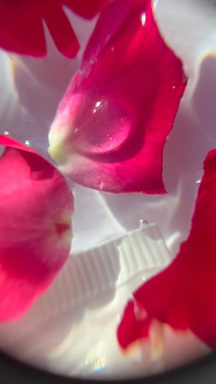 Ever tried conatural rose face wash🥰. Tbh it's so gentle on the skin makes skin super soft😋🤍, sul