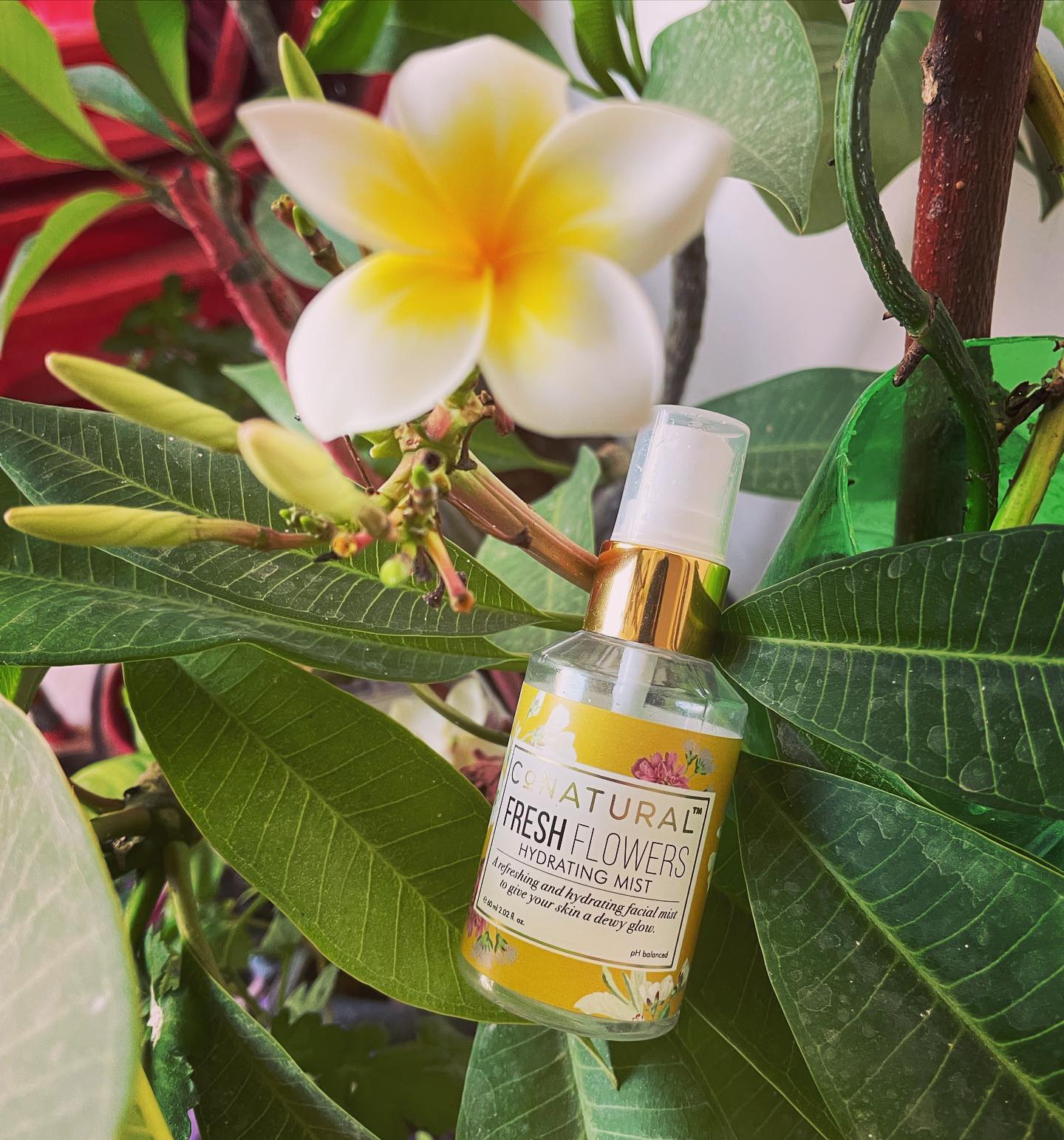 When youâ€™re a big fan of #FaceMistSpray you end up trying it out products. I got this Fresh Flower