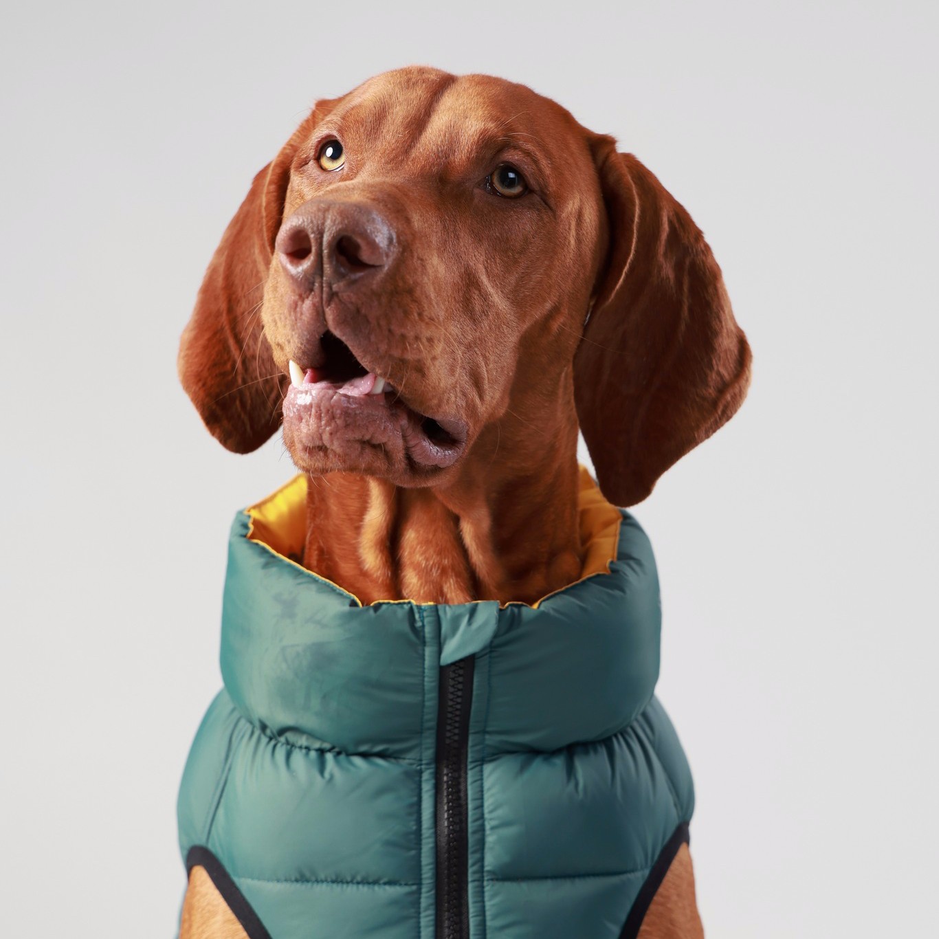 Won't look Wednesday is from all angles this week. Our forest green just looks so good! 

Puffer jac