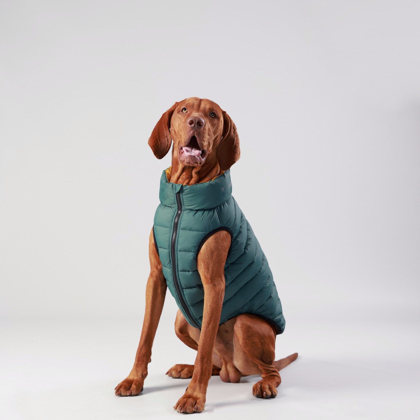 Won't look Wednesday is from all angles this week. Our forest green just looks so good! 

Puffer jac