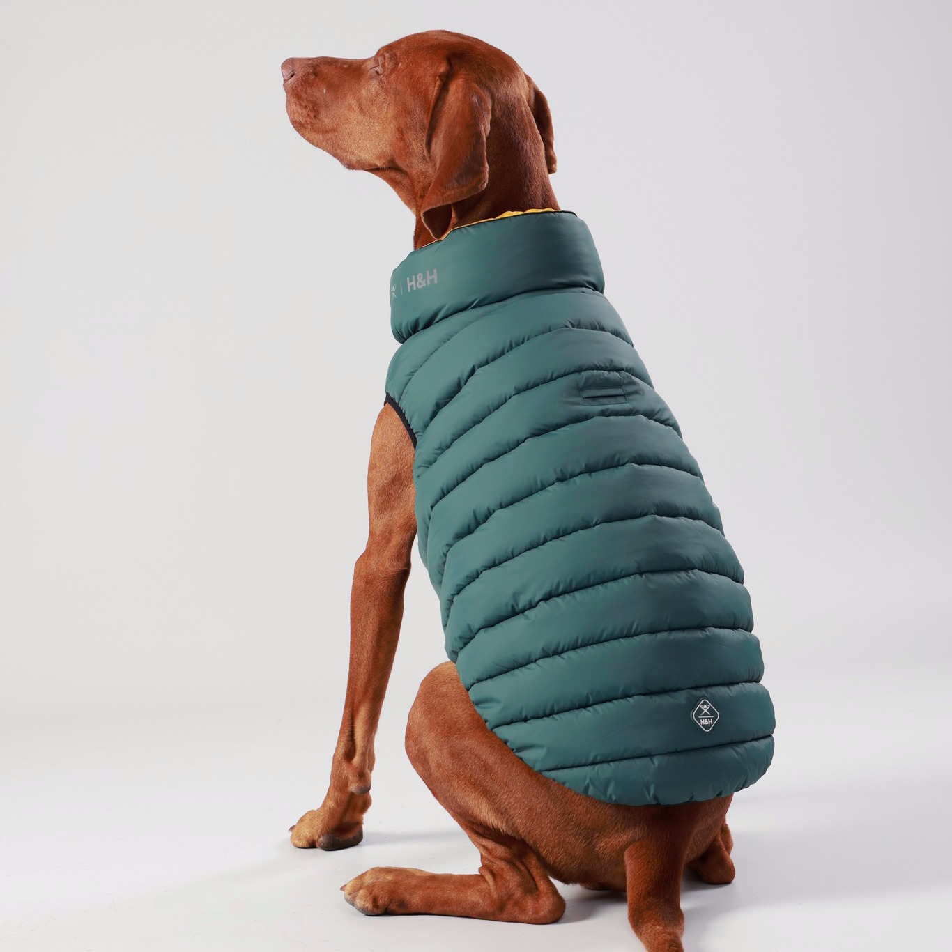 Won't look Wednesday is from all angles this week. Our forest green just looks so good! 

Puffer jac