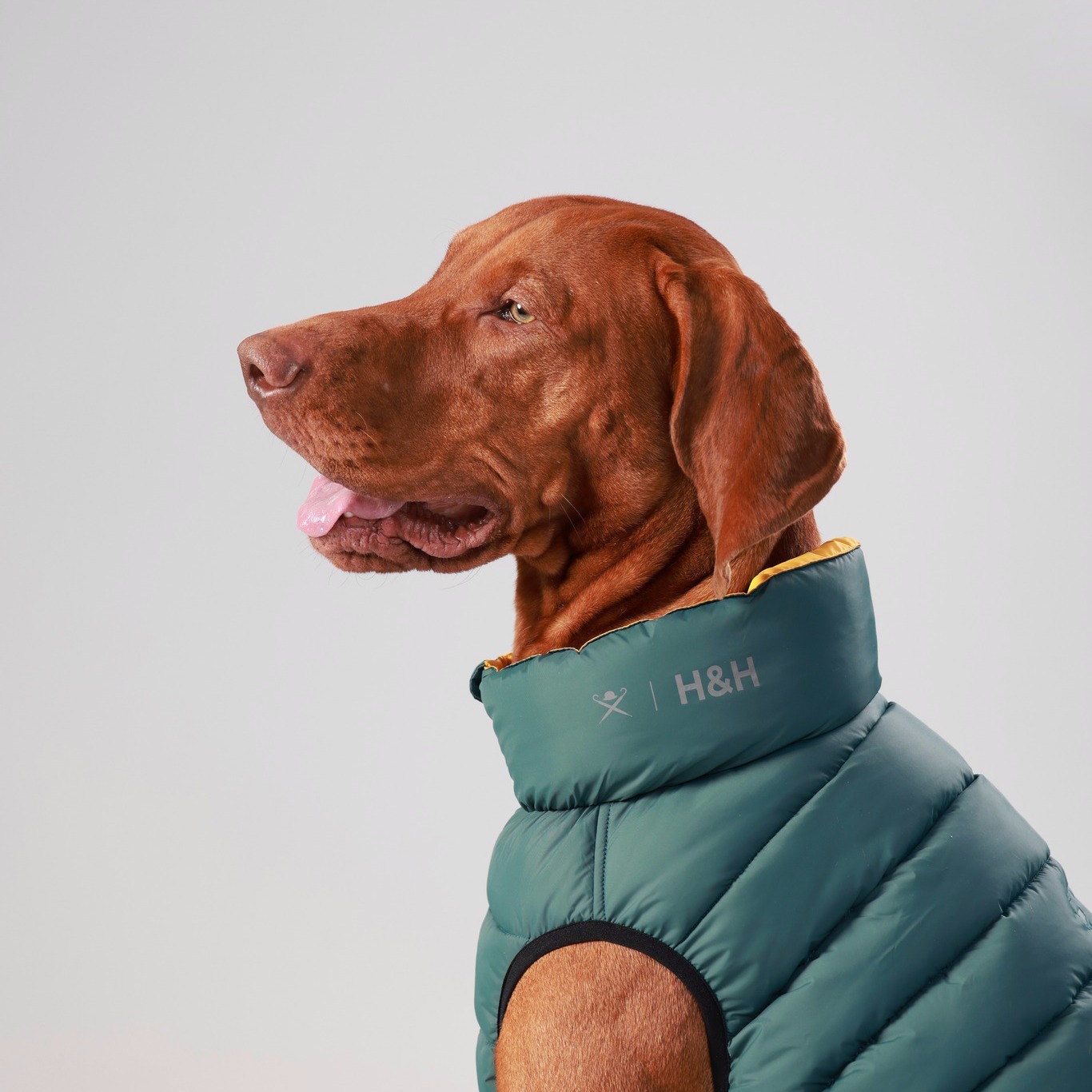 Won't look Wednesday is from all angles this week. Our forest green just looks so good! 

Puffer jac