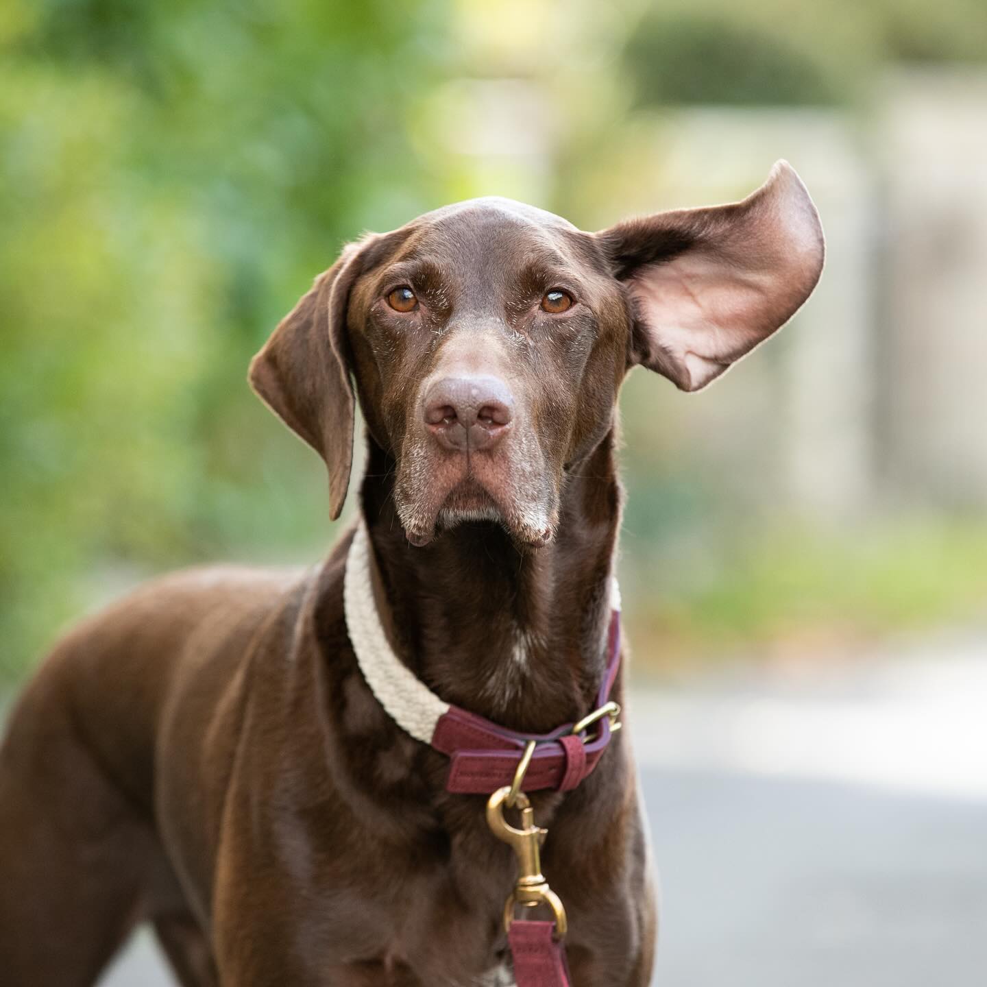 Woahhhh hold on to your ears itâ€™s windy out there! ðŸŒ¬ï¸ 

We hope youâ€™re having a lovely Sund