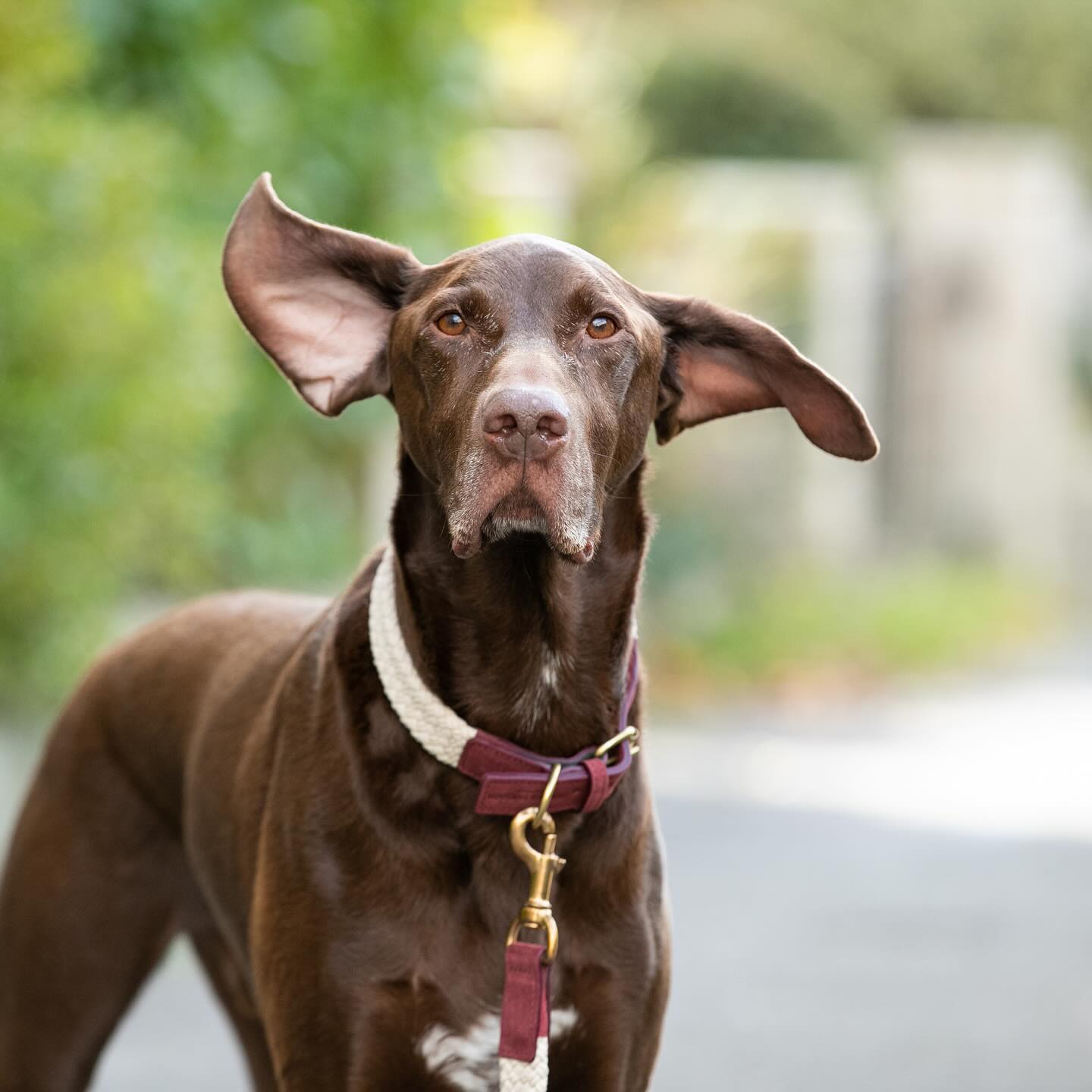 Woahhhh hold on to your ears itâ€™s windy out there! ðŸŒ¬ï¸ 

We hope youâ€™re having a lovely Sund