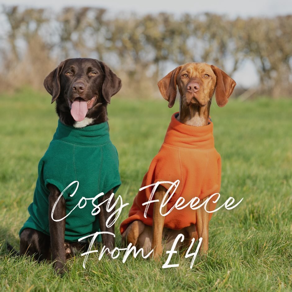 ⭐️ OUR BIGGEST SALE YET HAS ARRIVED! ⭐️

Be prepared for all adventures with help from our biggest s