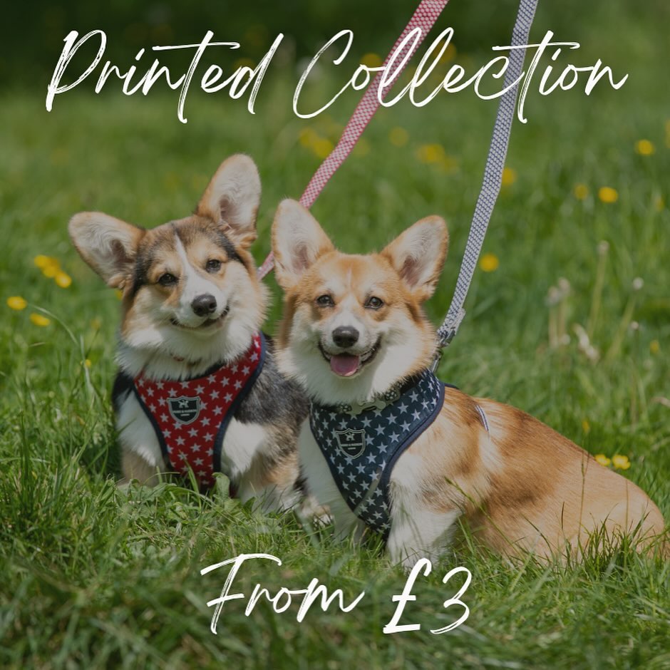 ⭐️ OUR BIGGEST SALE YET HAS ARRIVED! ⭐️

Be prepared for all adventures with help from our biggest s
