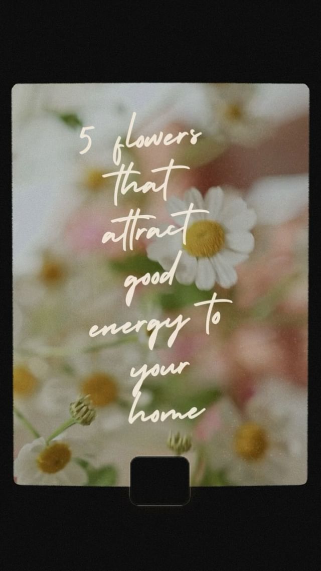 Radiate good energy, and the world will bloom around you. 🌼✌️✨