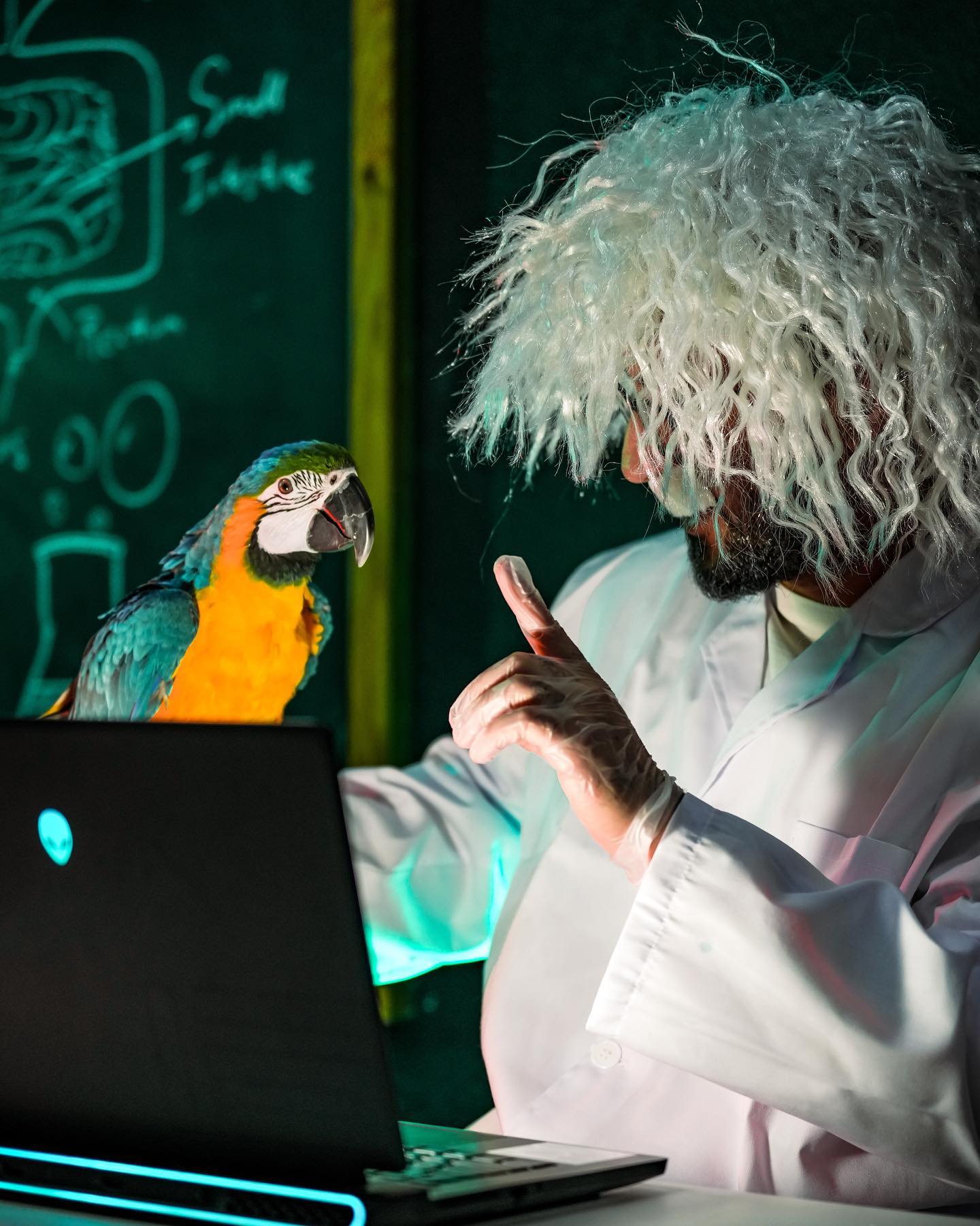 We count and study everything with Professor Nutz to get you the best product ever!