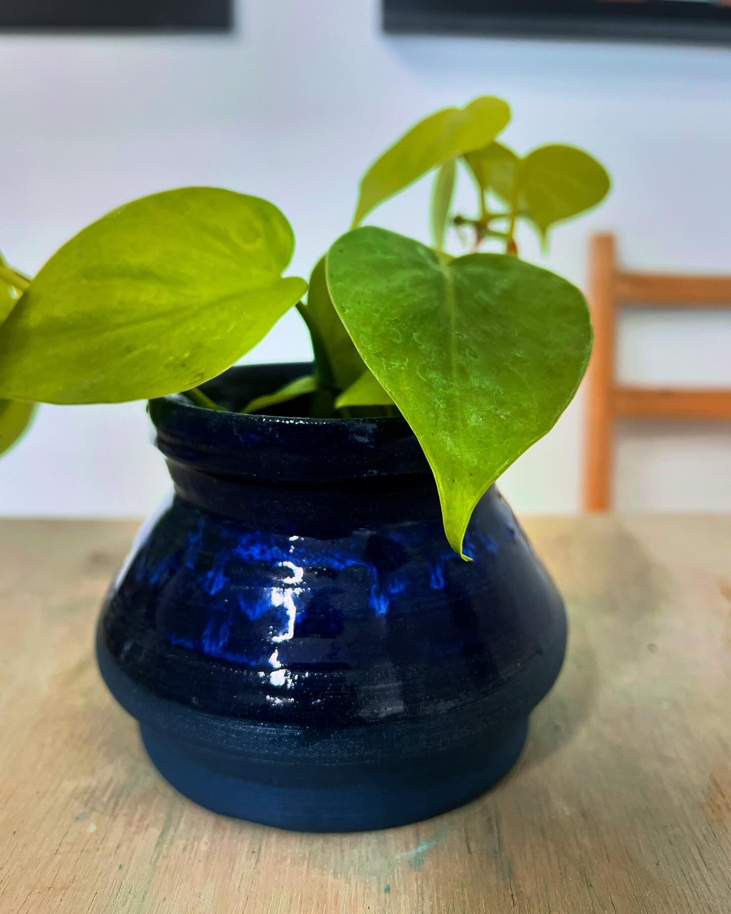 This cutie was made with our stoneware sky blue clay. The simple clean glaze really brings out the c