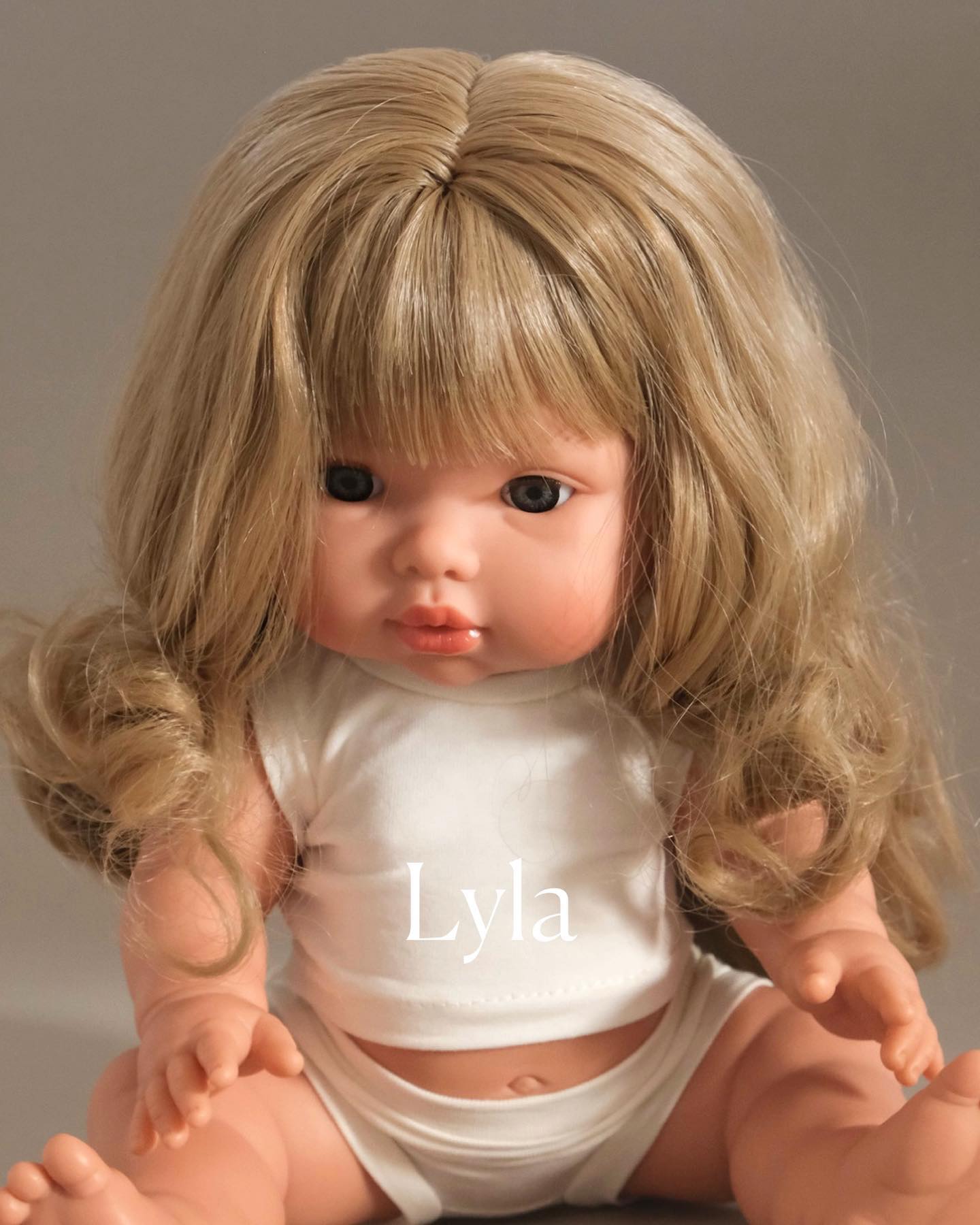 Finally, after a long wait, all of the girls are back-in-stock today and ready for a home! 
.
.
.
.
