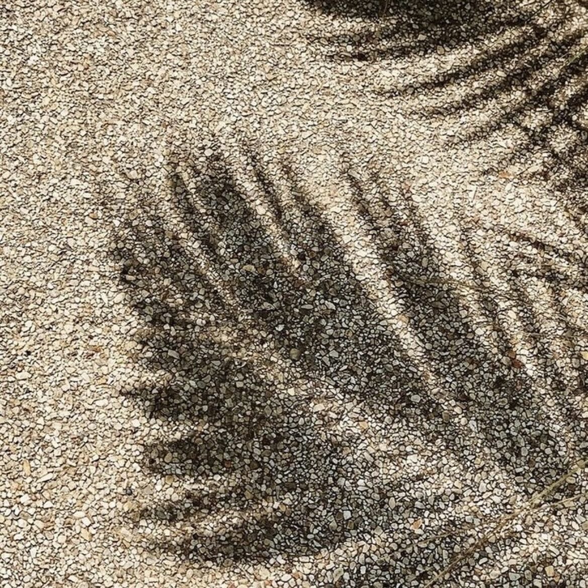 🌴