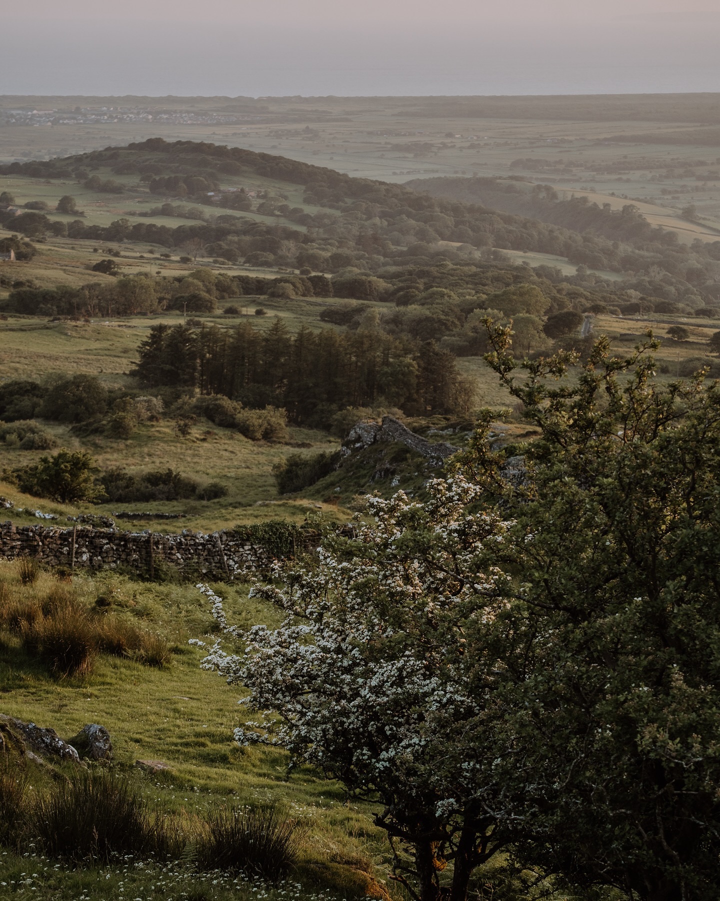 Up the hill ☀️ ⛰️ 🐑 
.
.
.
.
.
.
#oneearthmagazine #modernwild #lesothers #bellcoll #walescollectiv