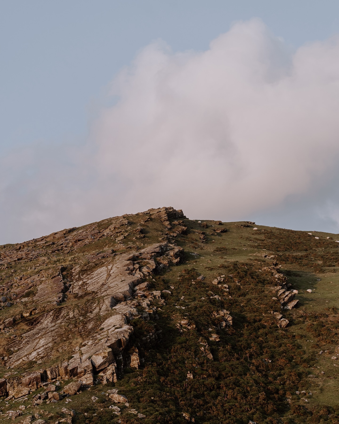 Up the hill ☀️ ⛰️ 🐑 
.
.
.
.
.
.
#oneearthmagazine #modernwild #lesothers #bellcoll #walescollectiv