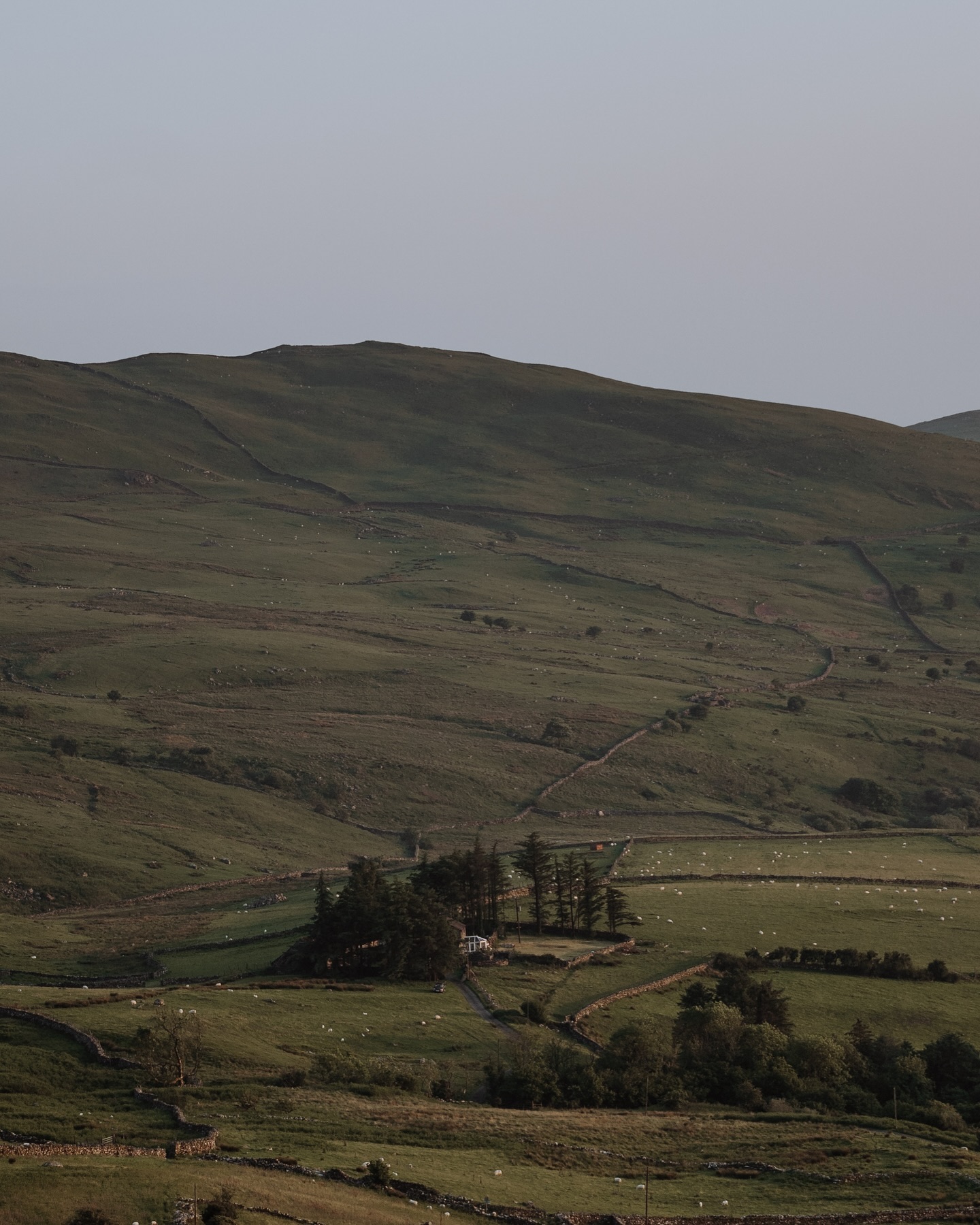 Up the hill ☀️ ⛰️ 🐑 
.
.
.
.
.
.
#oneearthmagazine #modernwild #lesothers #bellcoll #walescollectiv