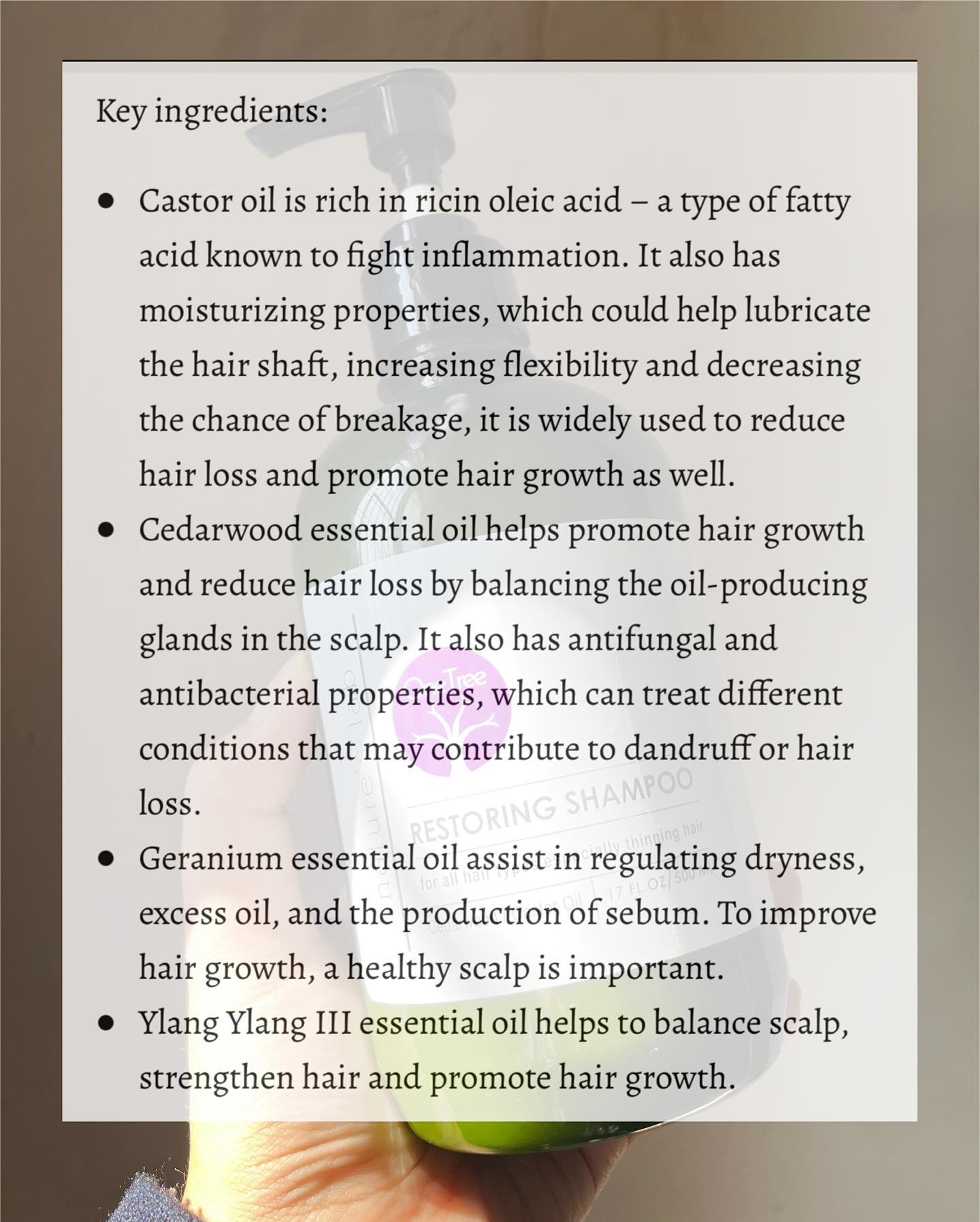 Natureâ€™s Lab One Tree Restoring Shampoo 500ml PAO 6M 

Have use this more than 4 times and the res