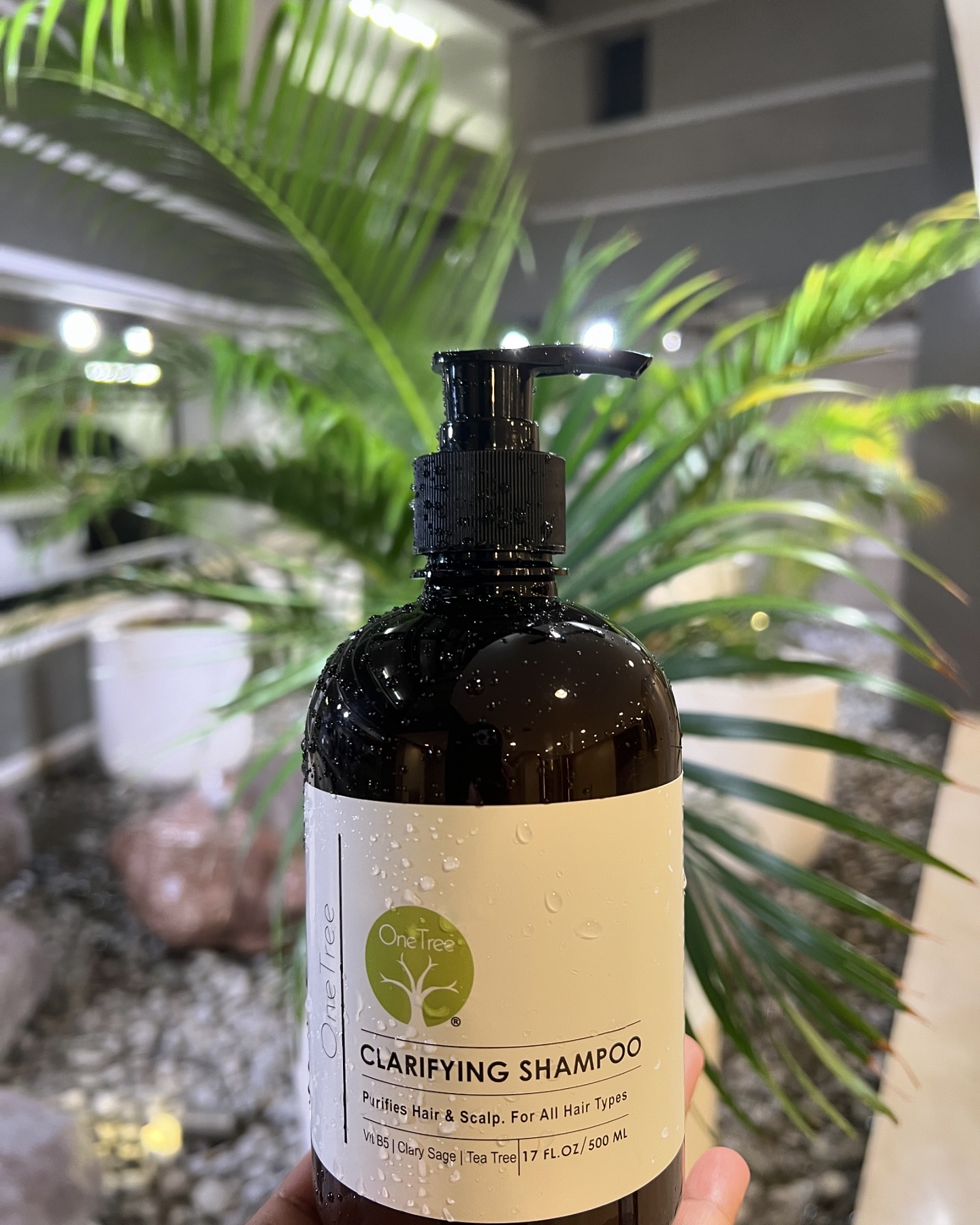 Struggling with Greasy and oily scalp?

Iâ€™ve found the perfect solution for my greasy hair and sca