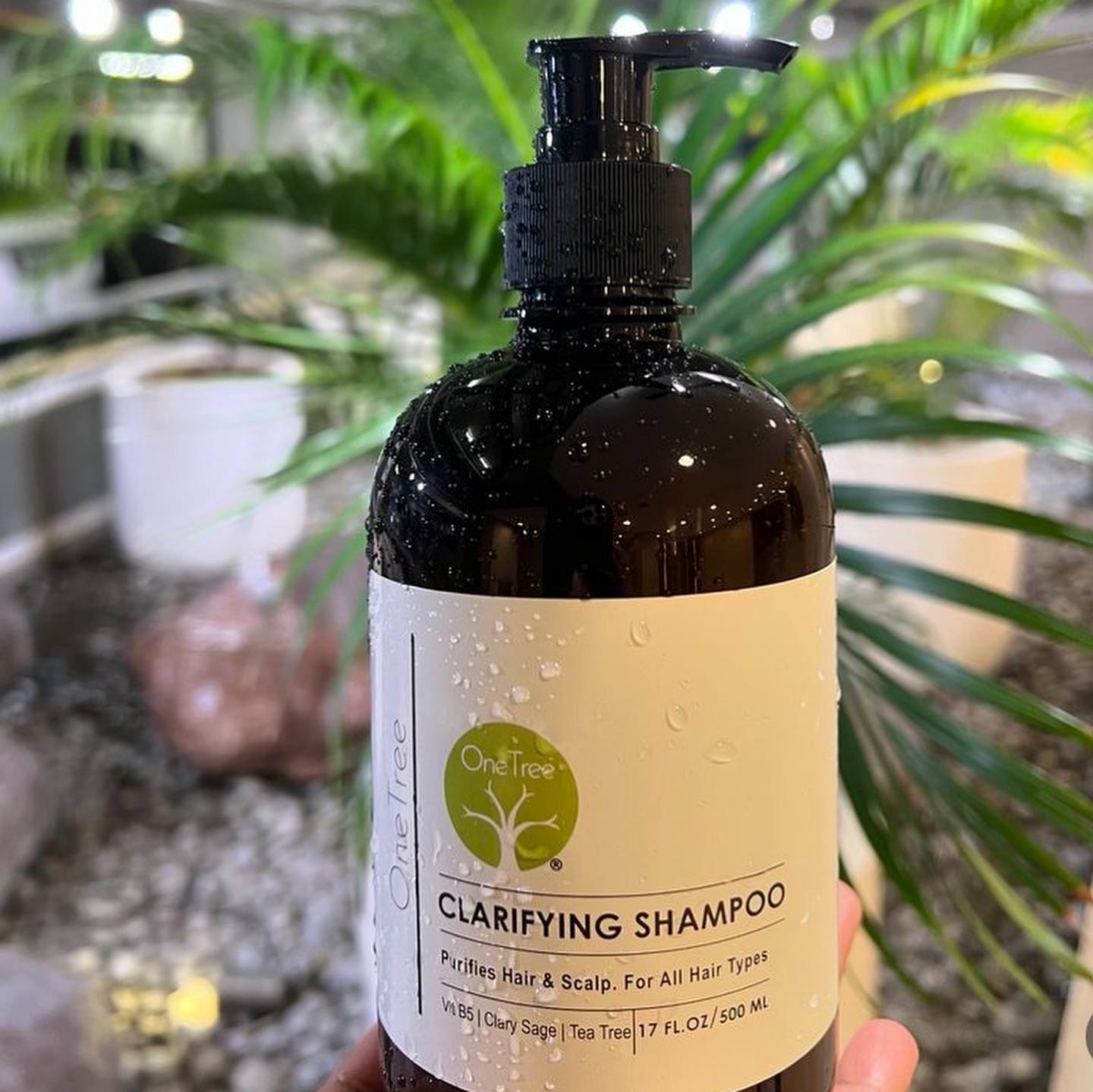 Finally dah jumpa shampoo favourite ðŸ˜» yang pasti memenuhi benda yg i nak ! 

ðŸ’¦Deep Cleansing: 