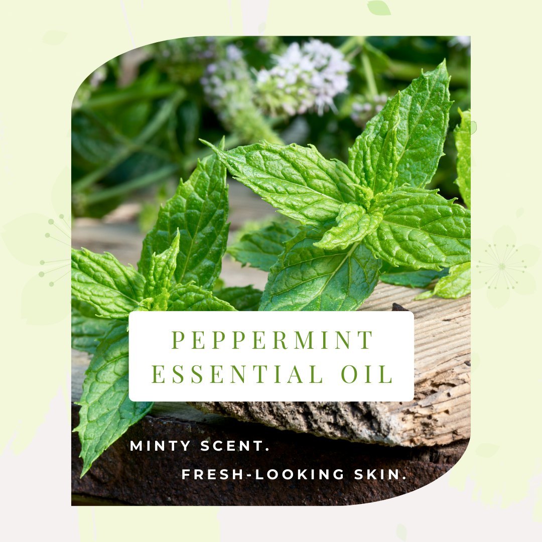 ðŸŒ· ð—¦ð—£ð—¥ð—œð—¡ð—šð—§ð—œð— ð—˜ ð— ð—¨ð—¦ð—§-ð—›ð—”ð—©ð—˜ð—¦ ðŸ“¢

With the