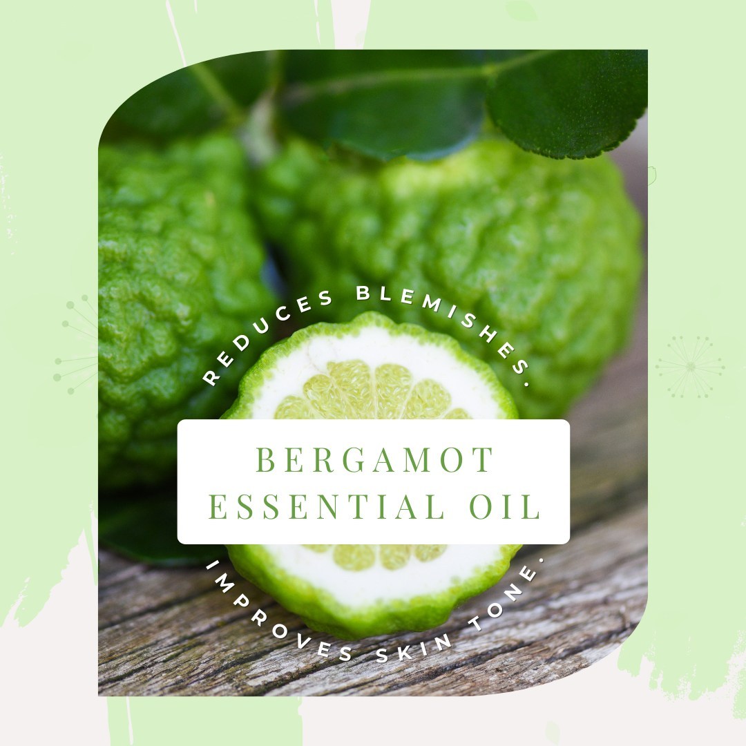 ðŸŒ· ð—¦ð—£ð—¥ð—œð—¡ð—šð—§ð—œð— ð—˜ ð— ð—¨ð—¦ð—§-ð—›ð—”ð—©ð—˜ð—¦ ðŸ“¢

With the