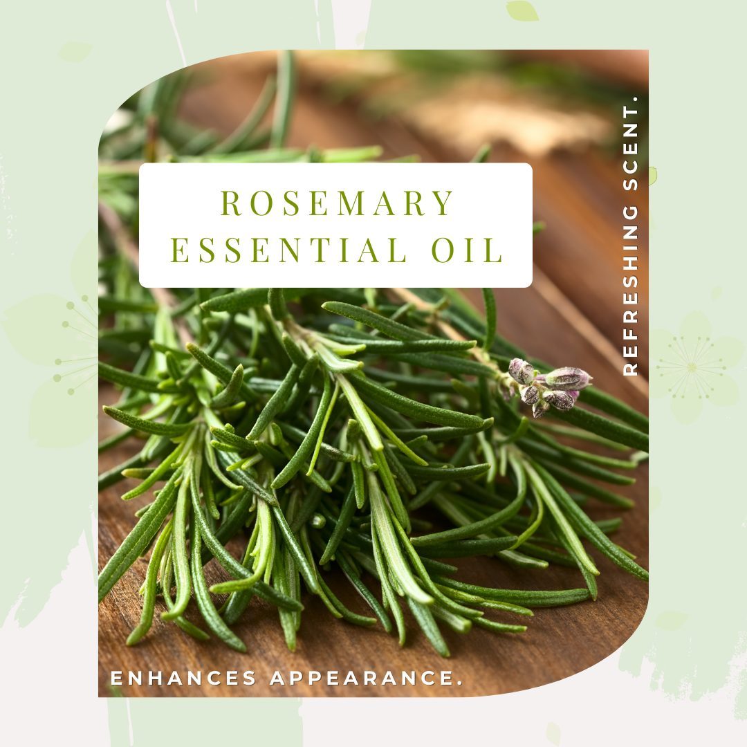 ðŸŒ· ð—¦ð—£ð—¥ð—œð—¡ð—šð—§ð—œð— ð—˜ ð— ð—¨ð—¦ð—§-ð—›ð—”ð—©ð—˜ð—¦ ðŸ“¢

With the