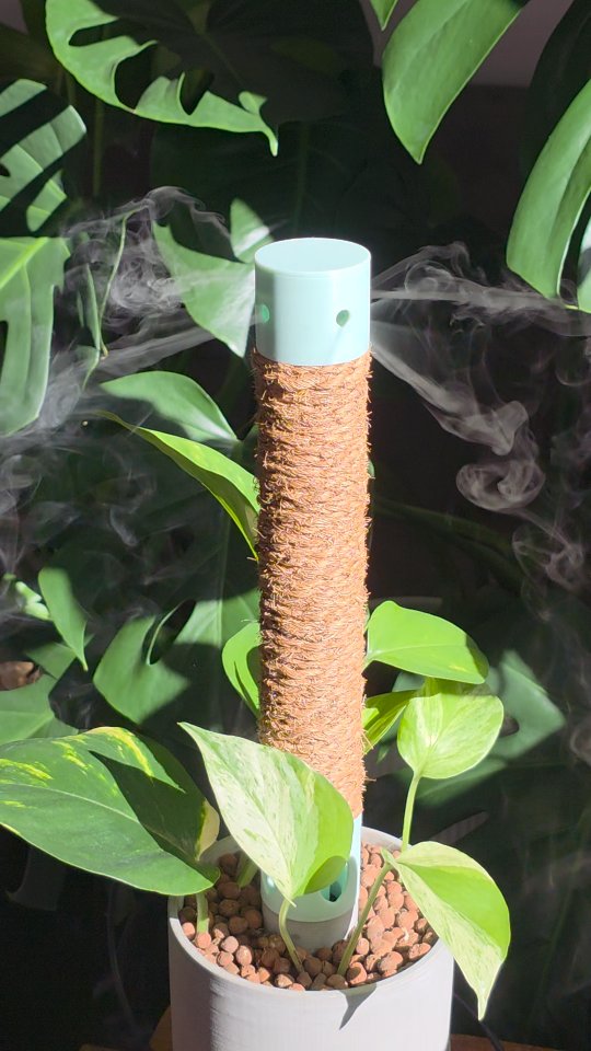 🌿 Struggling with dry air? Your plants feel it too! 🌿\n\nLow humidity = unhappy, crispy leaves. Bu
