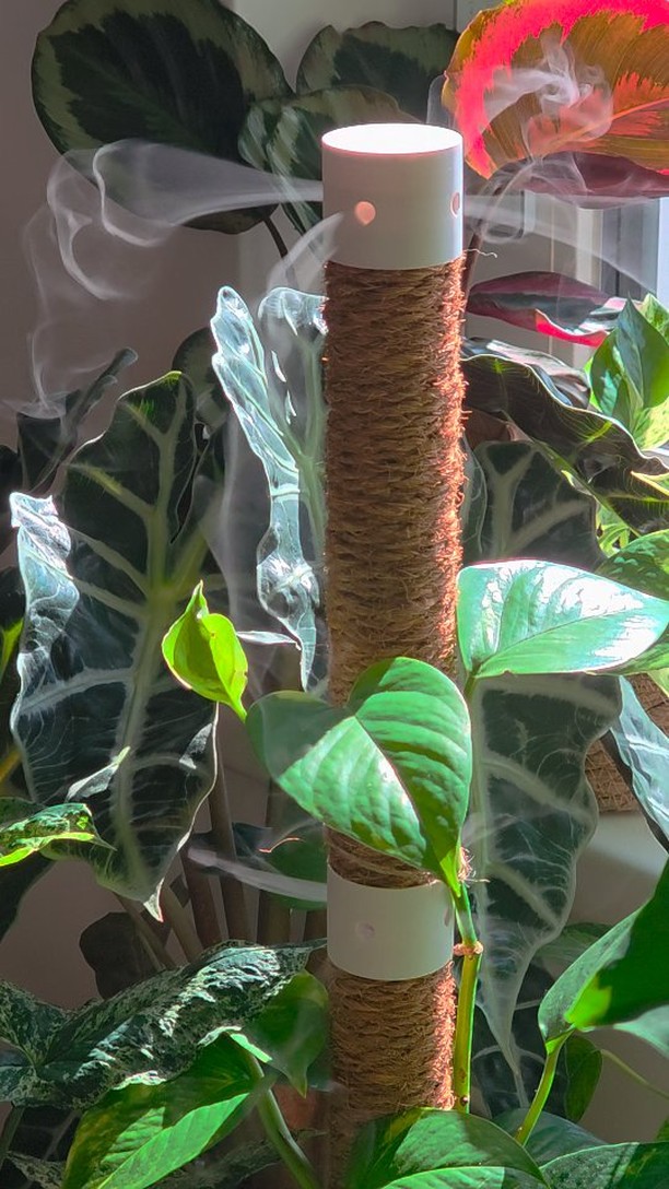 Fresh air. Happy plants. Literally! ✨\n\nOur product improves air quality & gives your plants a humi