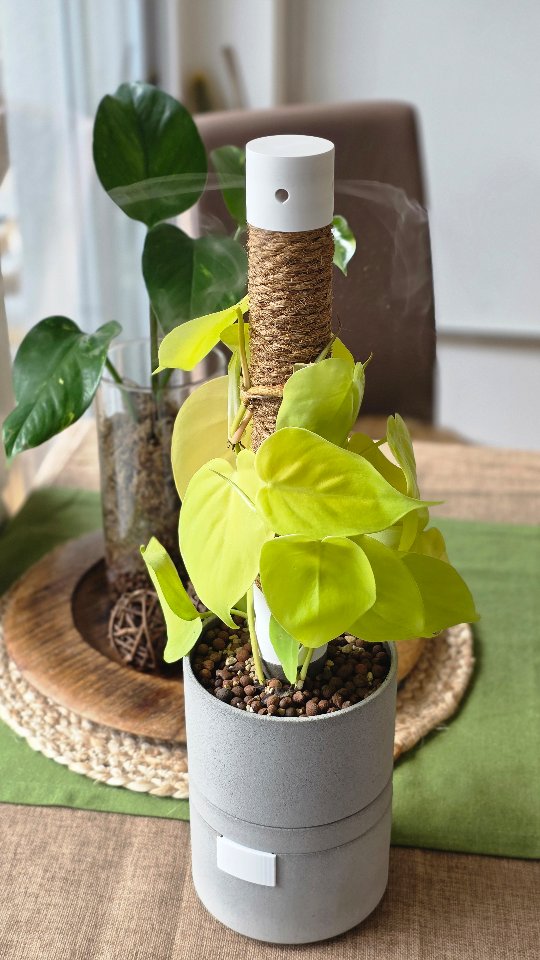 Philodendron Neons Best Friend💧🌿 \n\nThis sleek white Humidipot is the perfect match for your Phil