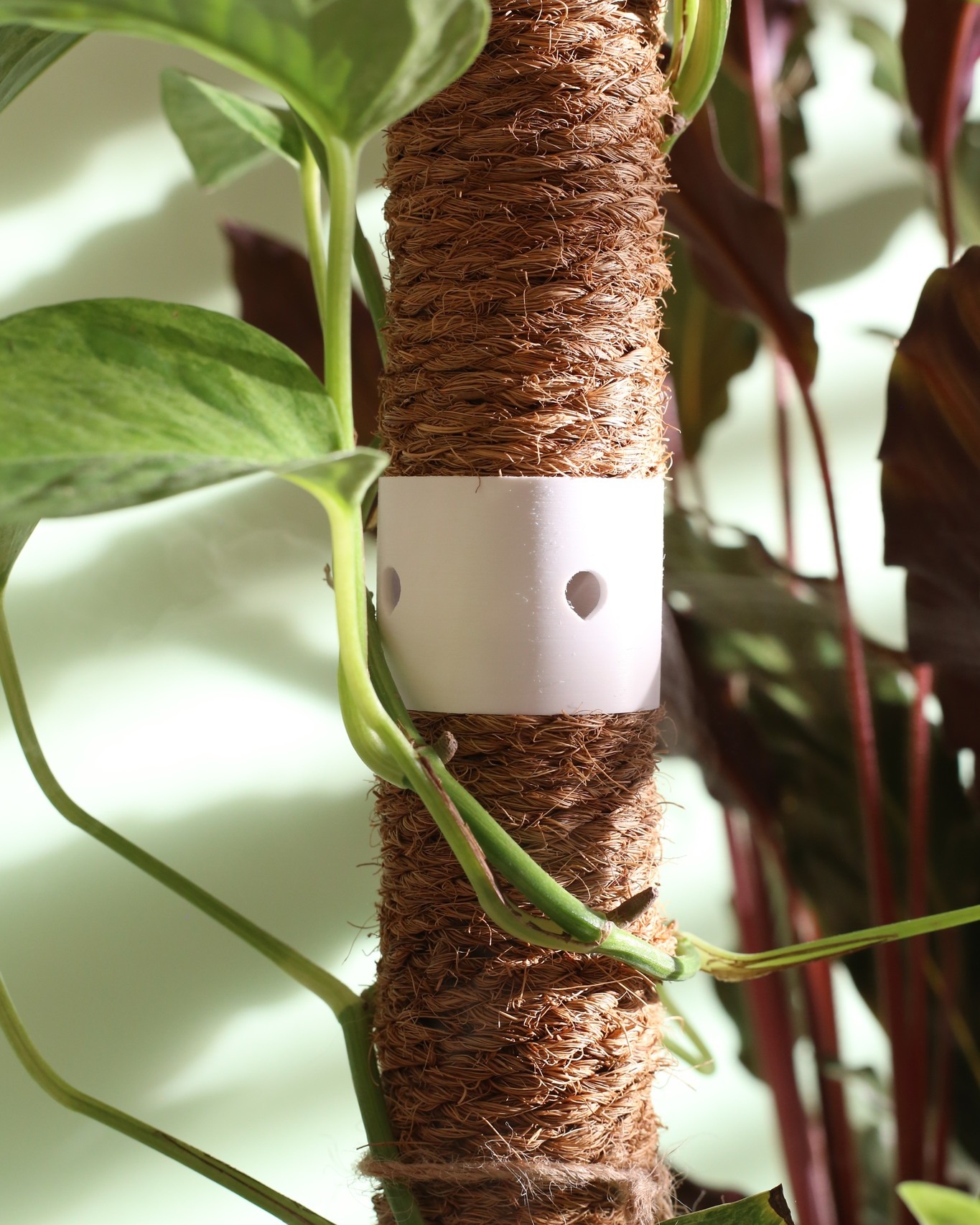 Not all humidifiers are created equal! Our unique mist distributor is designed to evenly spread humi