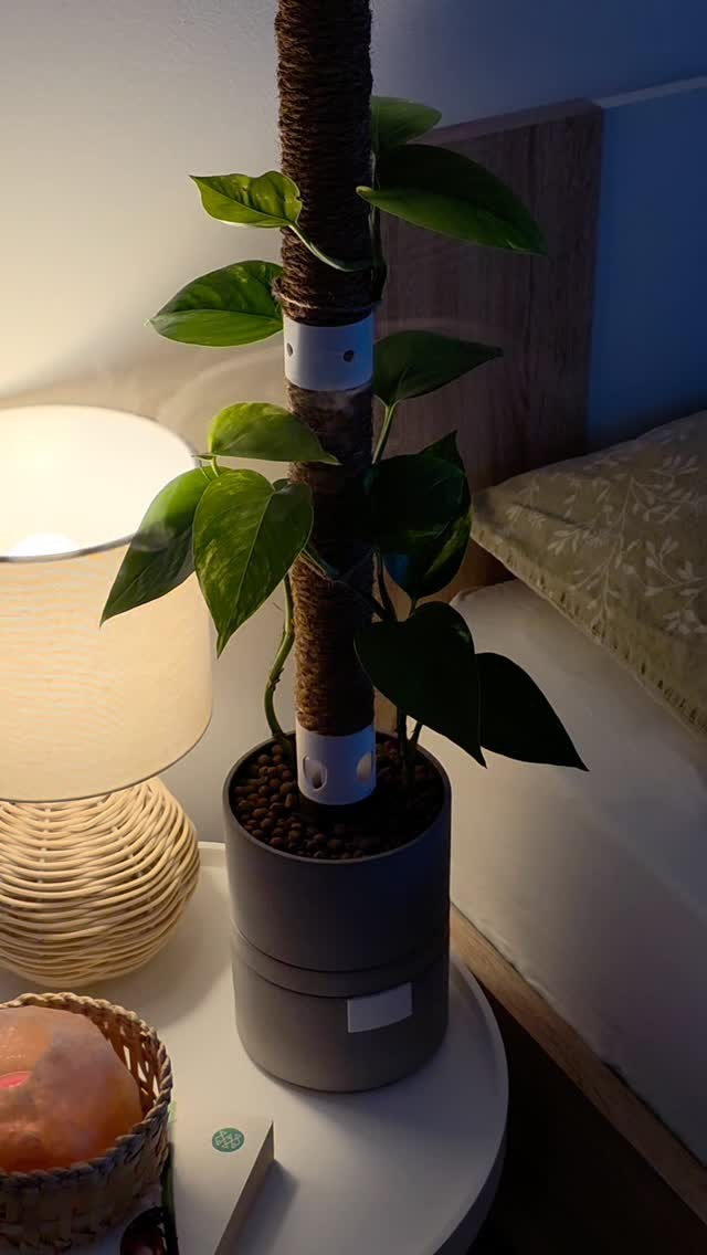 Say Good Night with Humidipot🌜💨 and wake up refreshed ✨️🪷\n\nHumidipot adds gentle moisture to yo