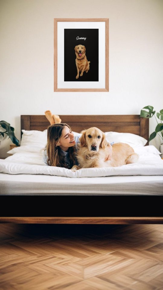 Spring is here, and walks with your biggest fan have never been this epic! 🌿🐕 Follow us and turn t