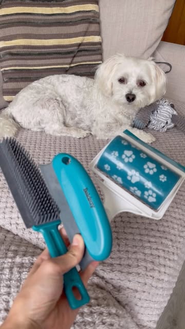 🐾Are you left wondering how to clean up your pets hair?\n\nIn celebration of National Pet Day, head