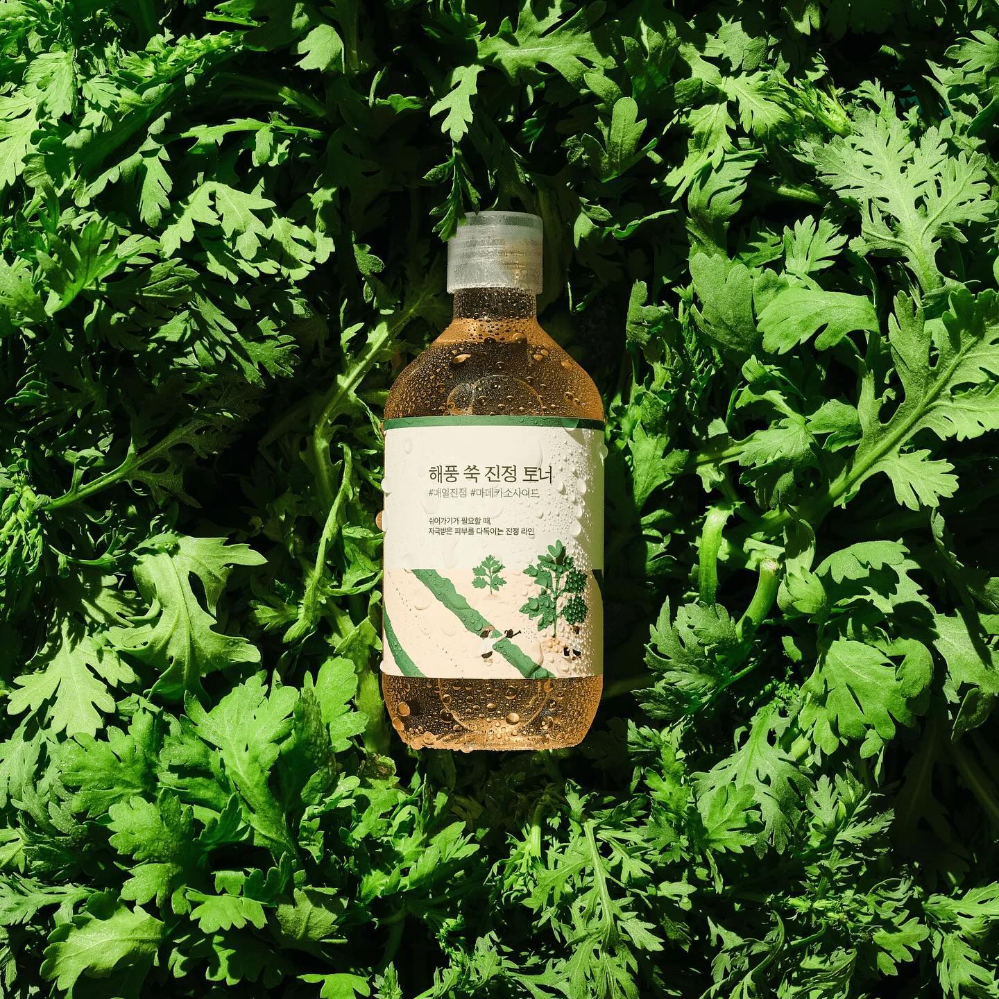🌿 ROUND LAB Mugwort Calming Toner 🌿\n\n880 грн за 300 мл\n\nЦей загоювальний та заспокійливий тоне