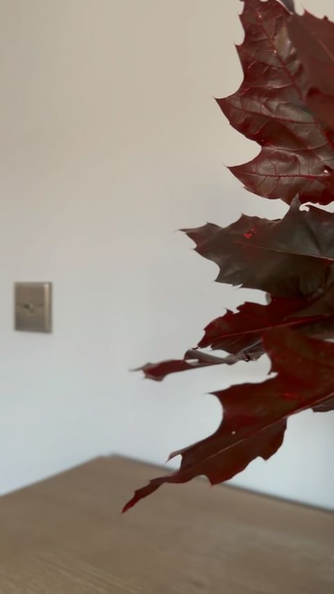 â€¢Autumnal Stemsâ€¢

I was just saying on my stories the other day that I wanted to get some autumn