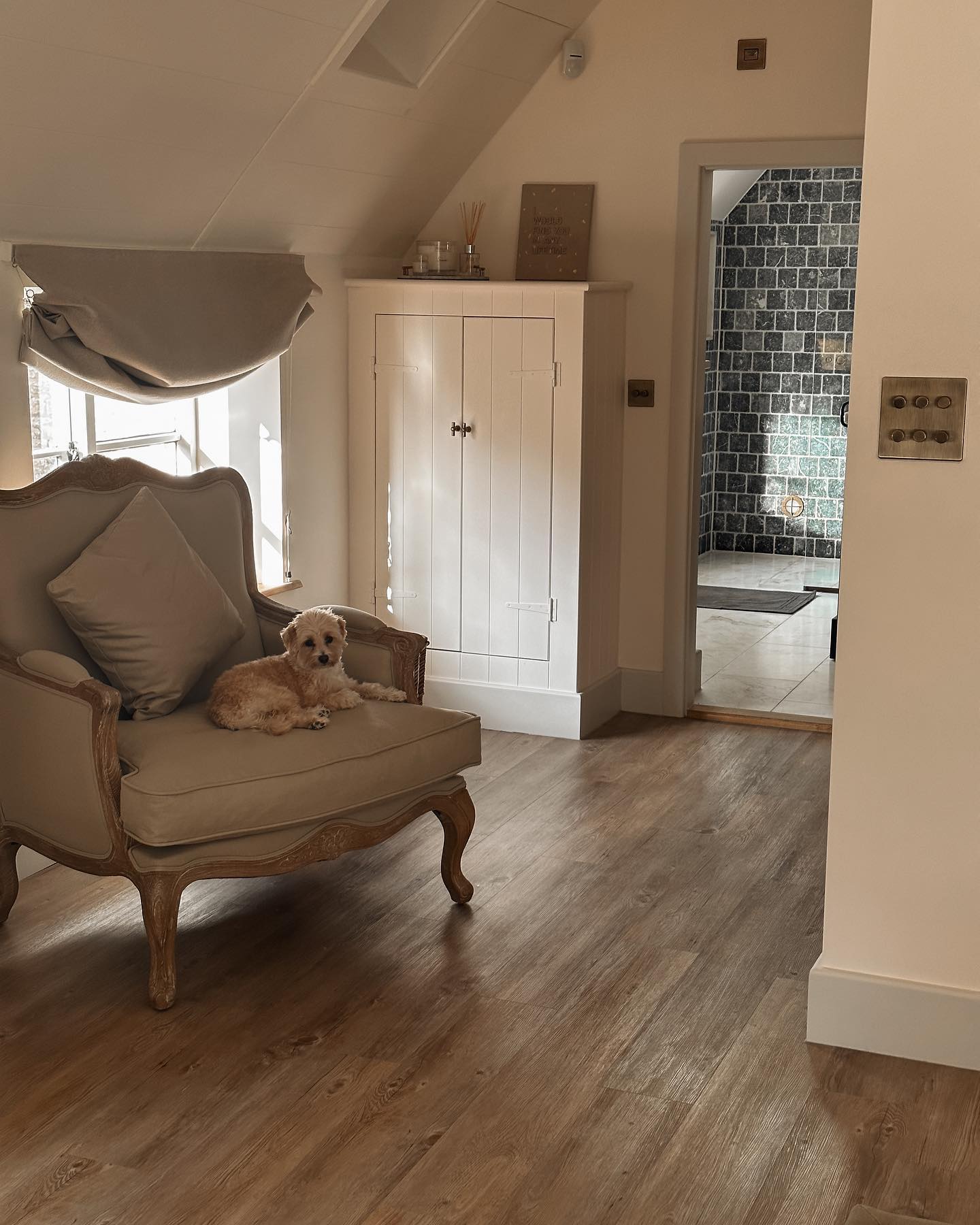 I call this collection â€˜places my dog chooses to sleep instead of his own bedâ€™.

The majority of