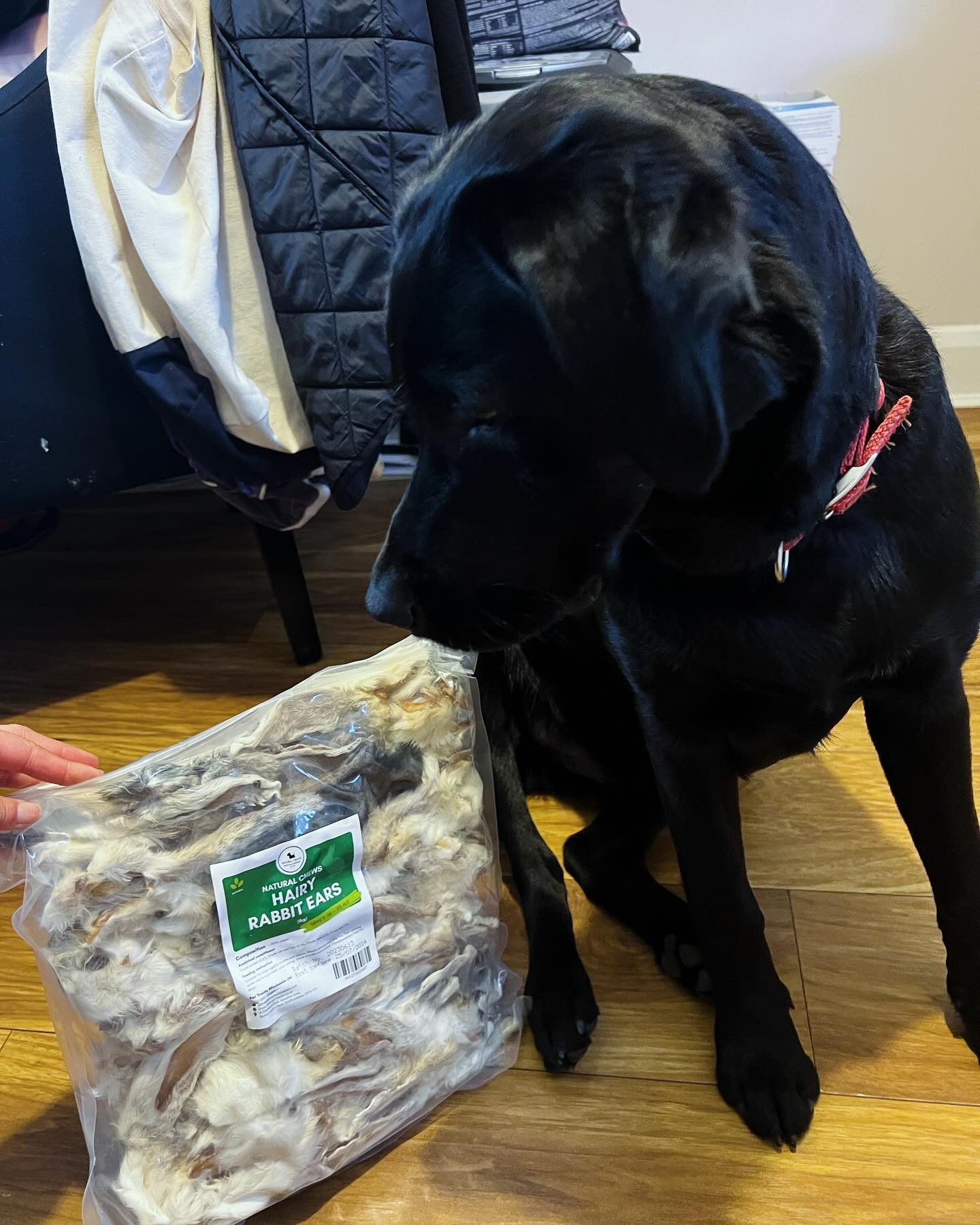 In case you’ve ever wondered what 1kg of rabbit ears look like… 🐰😬

#dogmom #pawrenting #londonlif