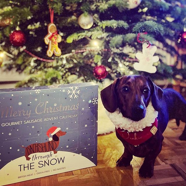 My bestie Pie and me love our advent calendar’s. Also adore my snuggly Christmas snood from harryand
