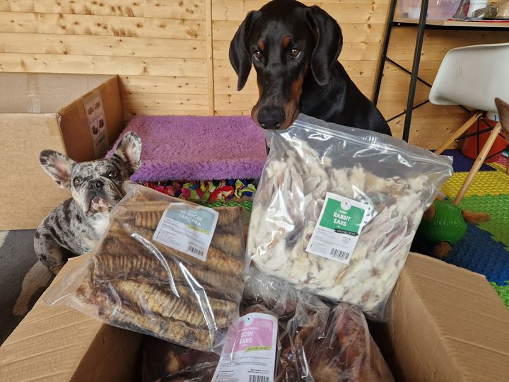 Treat delivery day = happy dogs
Pet Treats Wholesale Ltd