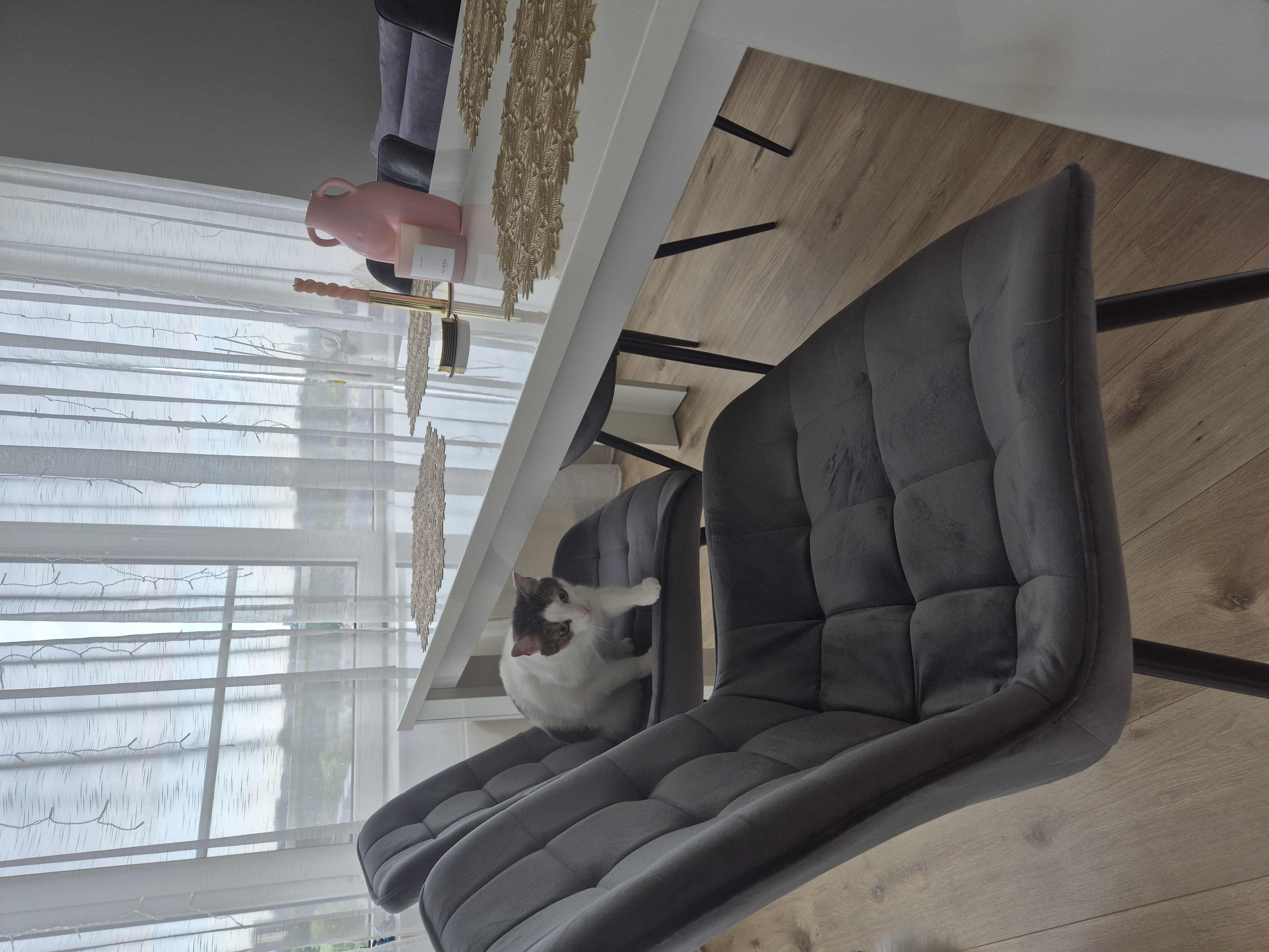 Perfect chair to lthe living room. Its so comfortable also for my kitty! 