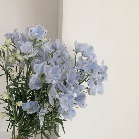 💙