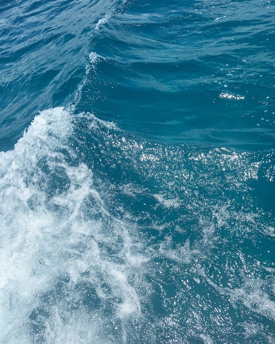 Fight the waves or ride them 🌊