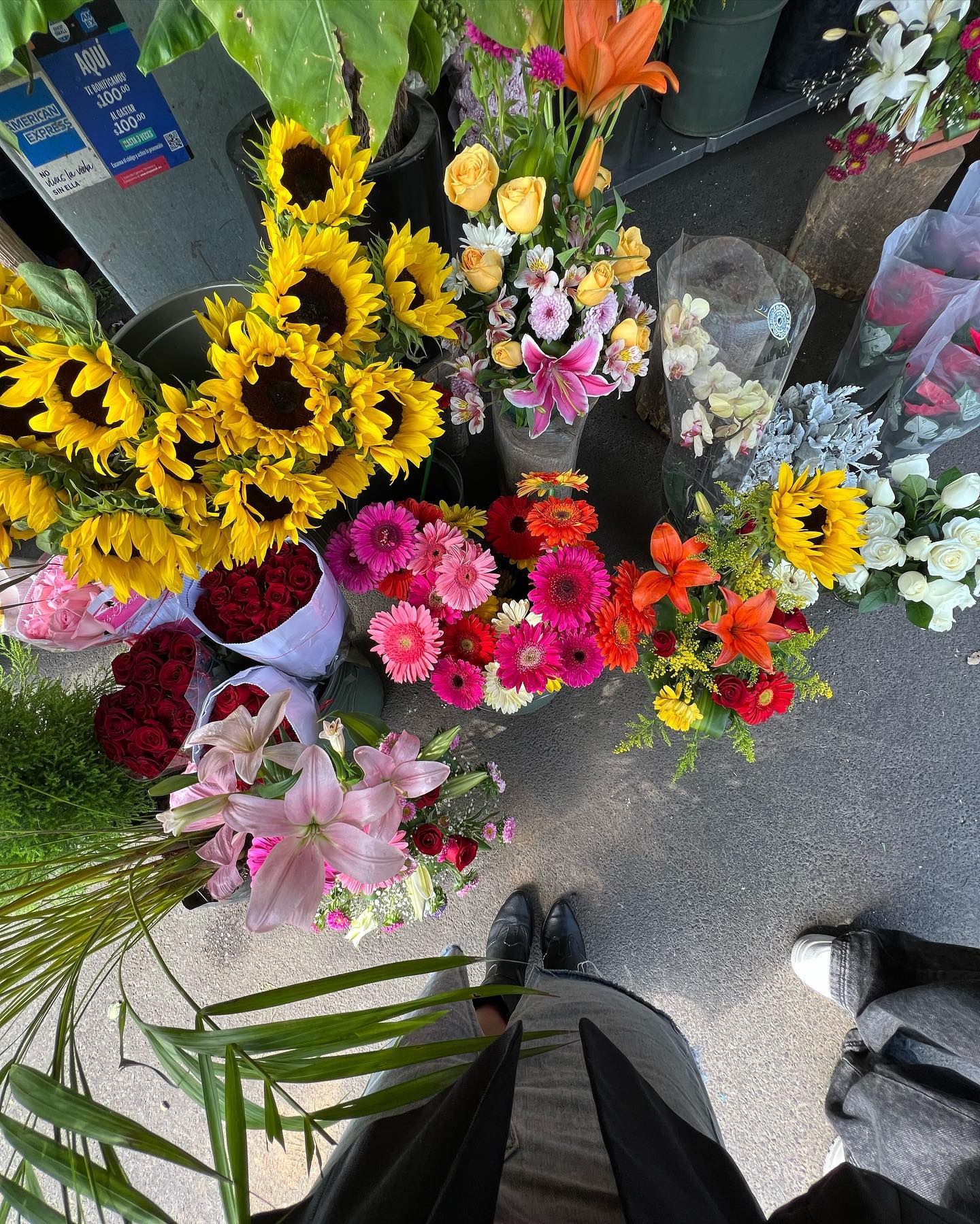 A pesar de que hacía frío, estas fotos las describiría así: 🌼🌷🌆🍃🌹🍄🌞 queeee bonito mini viaje 