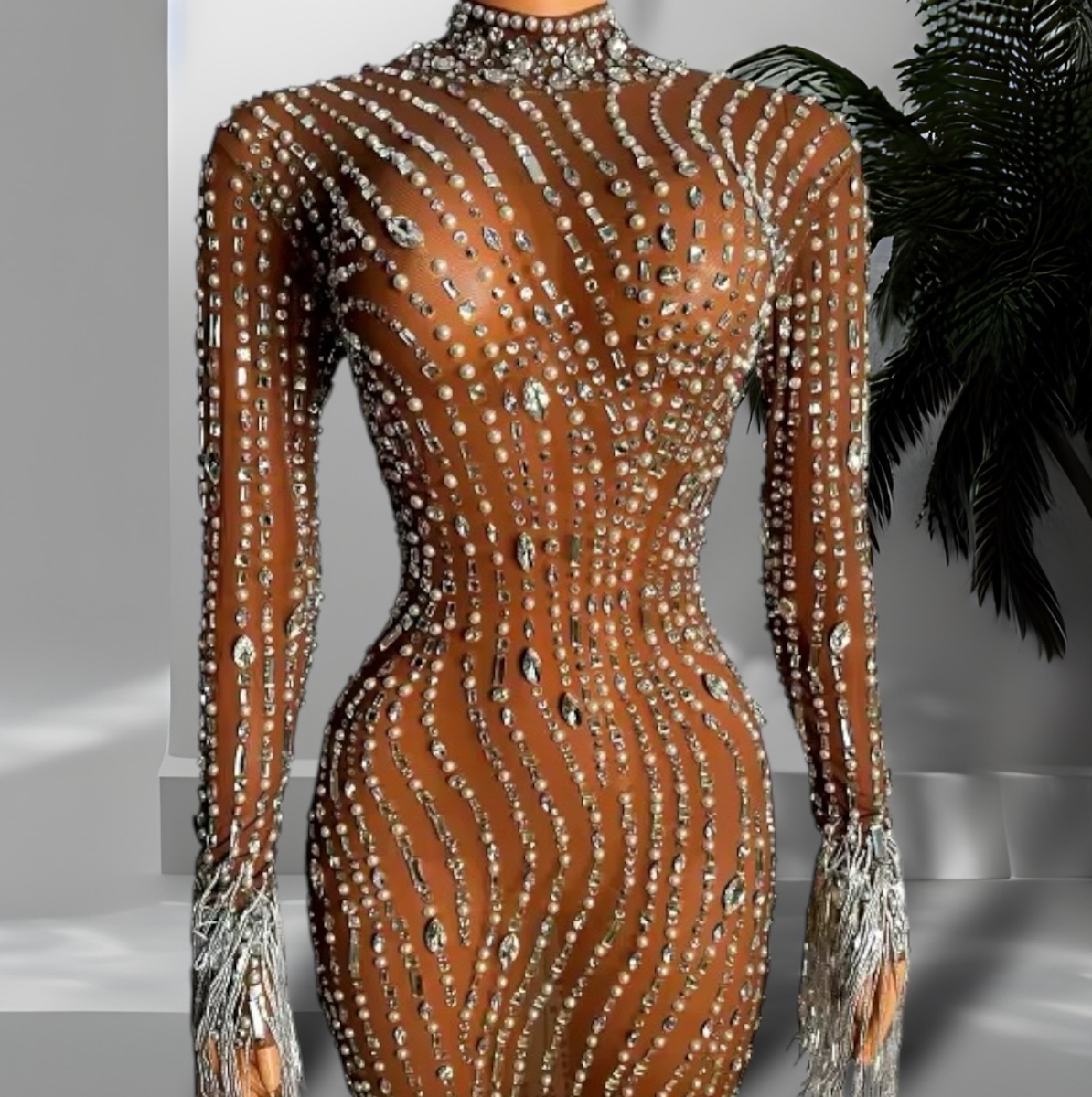 Rhinestone Transparent Long Dress. Available in various sizes.
.
#jeyboutique
#collaboratoon #clothe